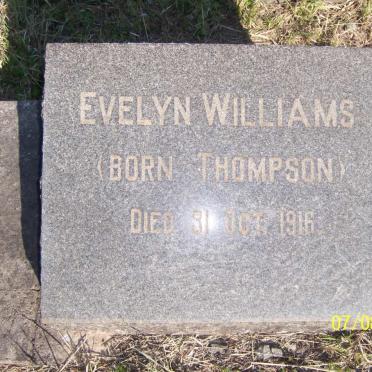 WILLIAMS Evelyn nee THOMPSON -1916