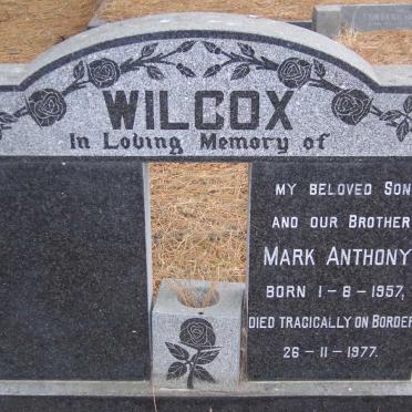 WILCOX Mark Anthony 1957-1977