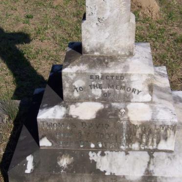 ? Thomas David Llewellyn 1869-1914
