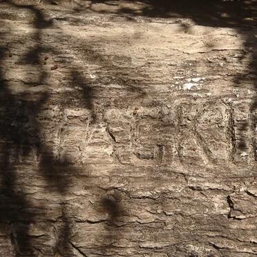 NIVEN Jack Penny Mackie 1892-1985