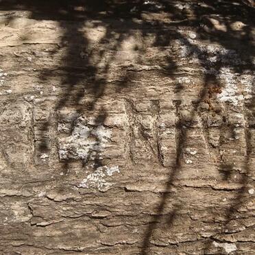 NIVEN Jack Penny Mackie 1892-1985