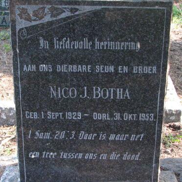 BOTHA Nico J. 1929-1953