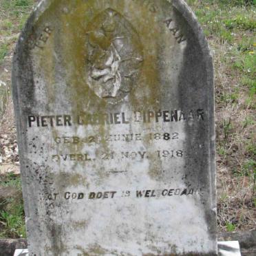 DIPPENAAR Pieter Gabriel 1882-1918