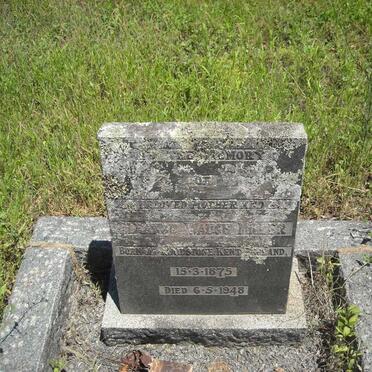 MILLER D. Waugh 1875-1948