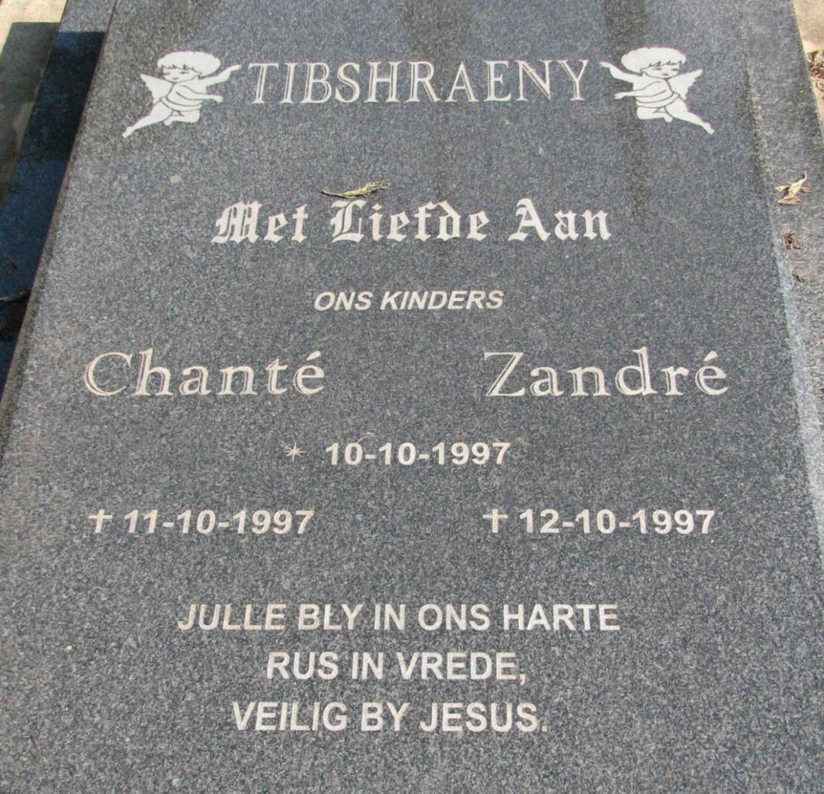 TIBSHRAENY Chanté 1997-1997 :: TIBSHRAENY Zandré 1997-1997