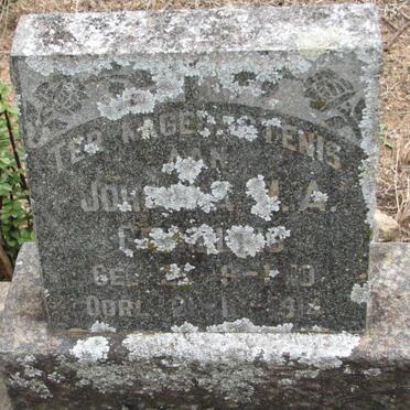 ?  ?LIN ? Johanna ?.A. 1910-1914