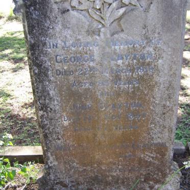CLAYTON George -1916  &amp; June -1897 :: CLAYTON Walter Edward -?