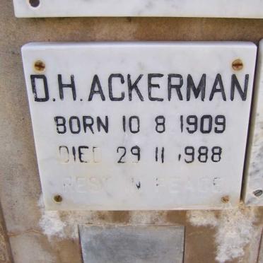 ACKERMAN D.H. 1909-1988