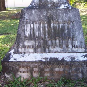HALL Alicia Caroline 1868-1893