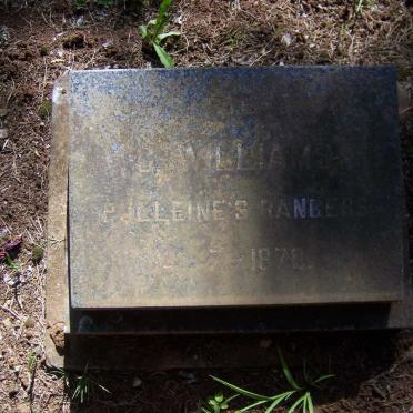 WILLIAMS G. -1878