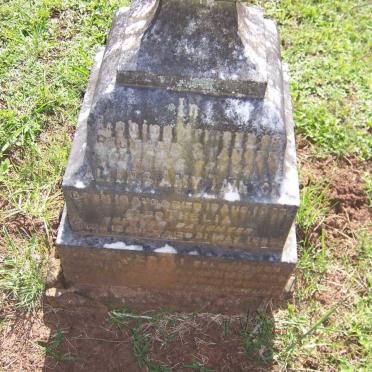 TAINTON Richard Stander 1893-1893 :: TAINTON Thelia 1895-1895
