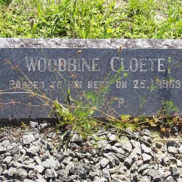 CLOETE Woodbine -1959