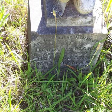 KRIEDEMAN Dorothy Mary 1923-1923