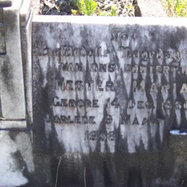 ? Hester Maria 1931-1938
