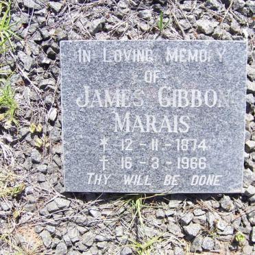 MARAIS James Gibbon 1874-1966