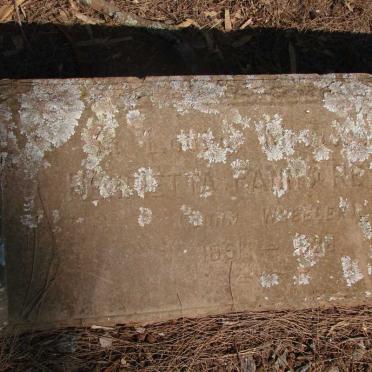 PALMER Marietta nee WHEELER 1851-192?