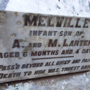LARTER Melville