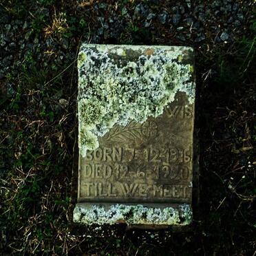 LEWIS ? 1916-1920