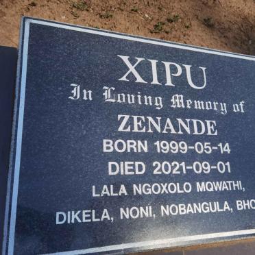 XIPU Zenande 1999-2021