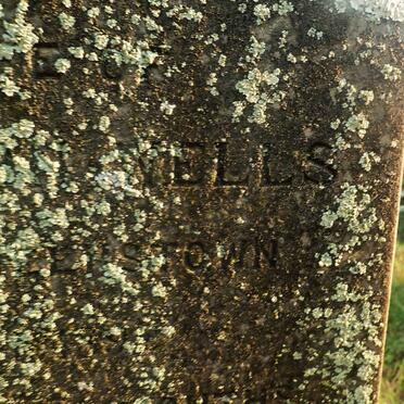 WELLS Henry Harrison -1890