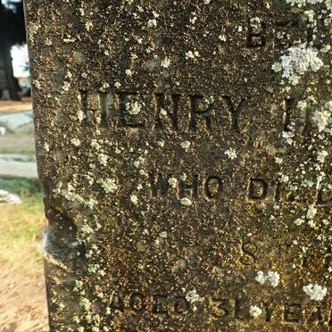 WELLS Henry Harrison -1890