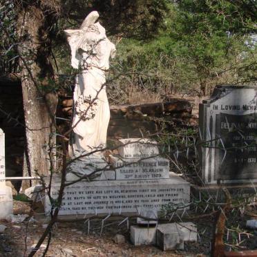 5. MUIR family graves