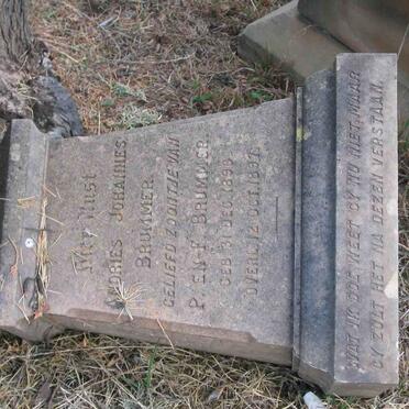 BRUMMER Andries Johannes 1896-1897