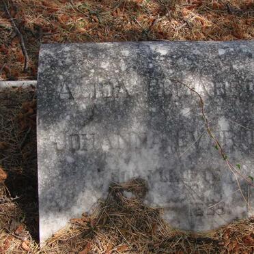 EVERITT Alida Elizabeth Johanna