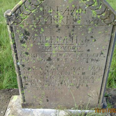HAYWOOD Wellem H.J. 1857-1916