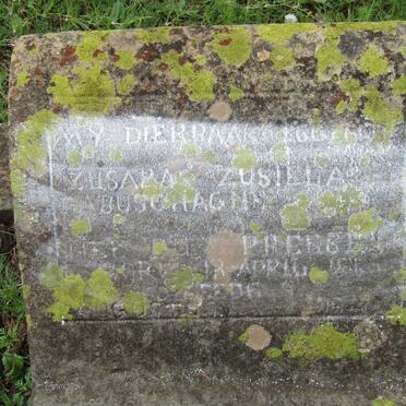 LABUSCHAGNE Zusara Zusielia nee DU PREEZ 18??-1???