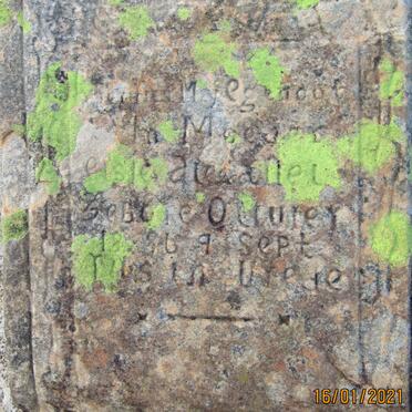 NEL Elsie Aletta nee OLIVIER 1886-1965