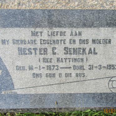 SENEKAL Hester C. nee HATTINGH 1873-1952