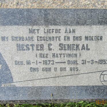 SENEKAL Hester C. nee HATTINGH 1873-1952