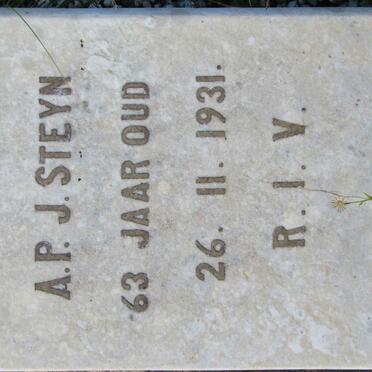 STEYN A.P.J. -1931