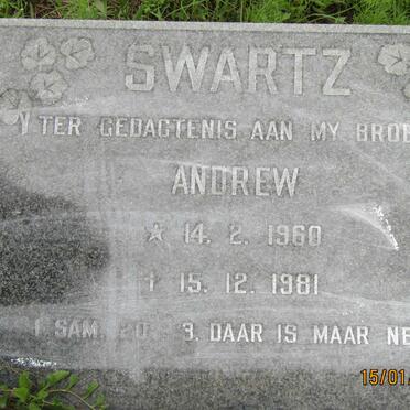 SWARTZ Andrew 1960-1981