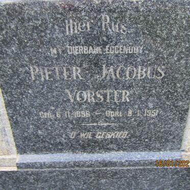 VORSTER Pieter Jacobus 1896-1951