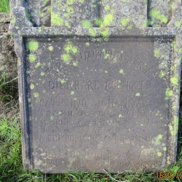 VENTER Cathrina Johanna Pritonella nee SCHOEMAN 1870-1932