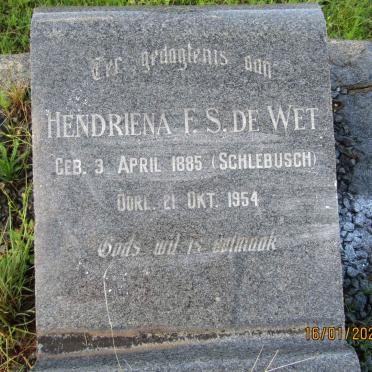 WET Hendriena F.S., de nee SCHLEBUSCH 1885-1954