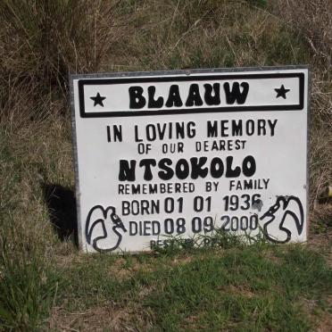 BLAAUW Ntsokolo 1936-2000