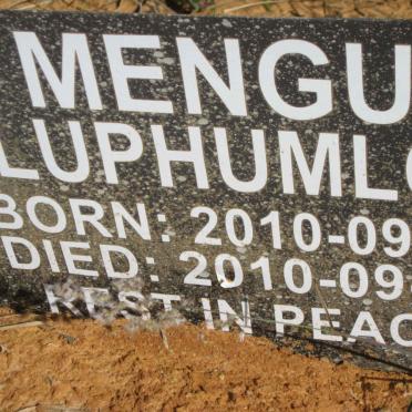 MENGU Luphumlo 2010-2010
