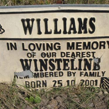 WILLIAMS Winstelins 2001-2003