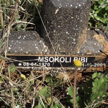 BIBI Msokoli 1970-2009