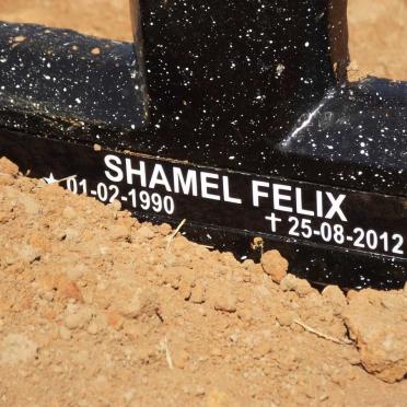 FELIX Shamel 1990-2012