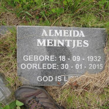 MEINTJES Almeida 1932-2015
