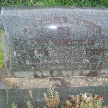 BECKER Herman Heinrick 1874-1945