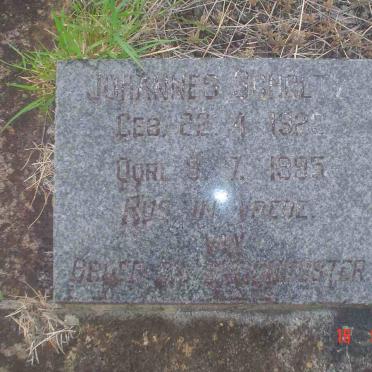 SCHOLTZ Johannes 1928-1995