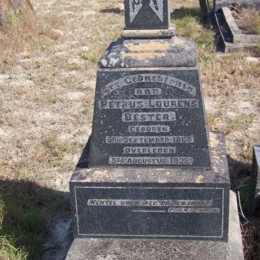 BESTER Petrus Lourens 1862-1922