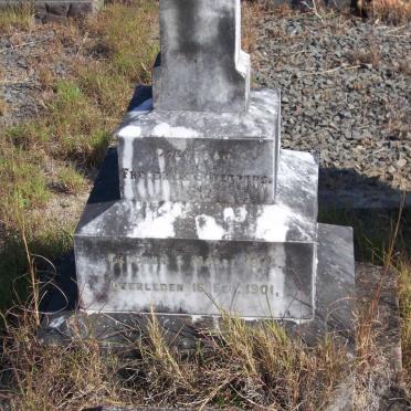 SCHEEPERS Coenraad Frederick 1874-1901