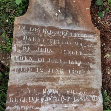 ARNOLD Marey Hellon 1869-1898
