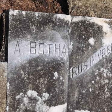 BOTHA A.